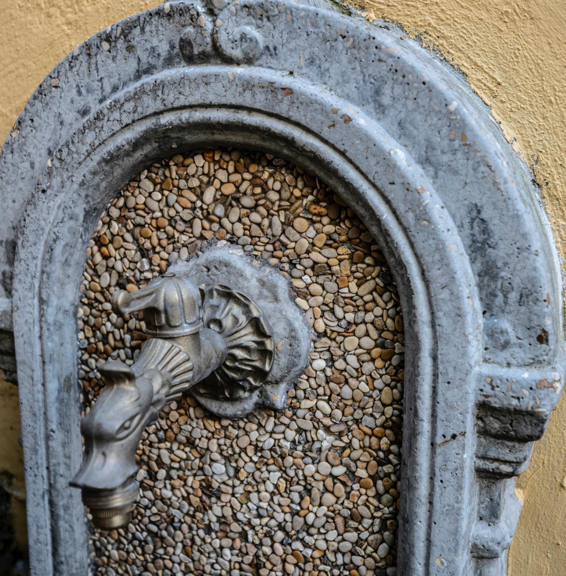 Exquilia & Garden Roma